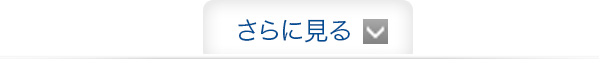 さらに見る